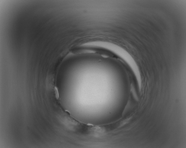 X0000082970421200702081747