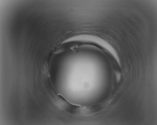X0000082970425200702081747