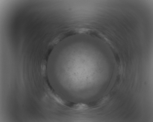 X0000082970427200702081747