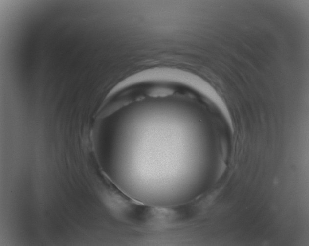 X0000082970429200702081747