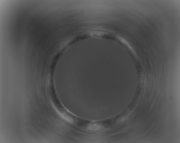 X0000082970451200702081746