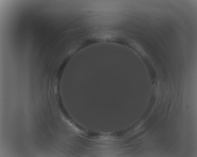 X0000082970458200702081746