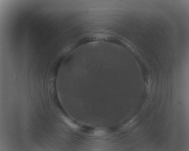 X0000082970462200702081746