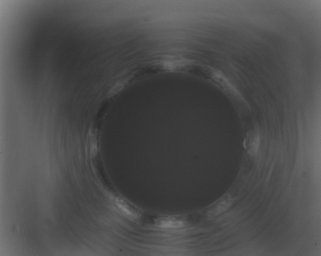 X0000082970471200702081746