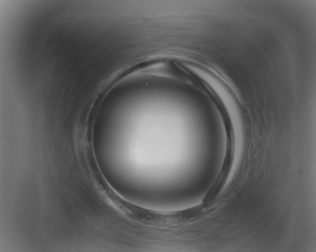 X0000082970485200702081746