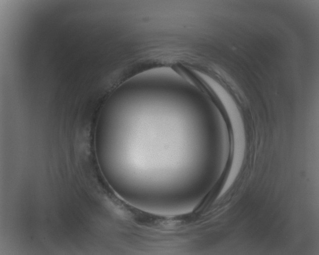 X0000082970497200702081745