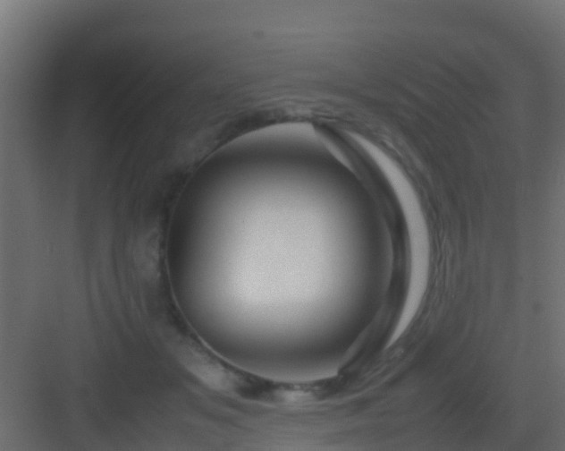 X0000082970509200702081745