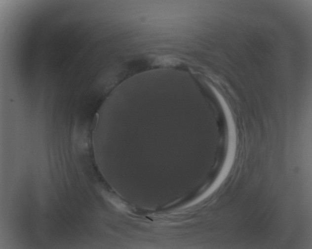 X0000082970517200702081745