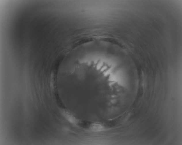 X0000082970519200702081745