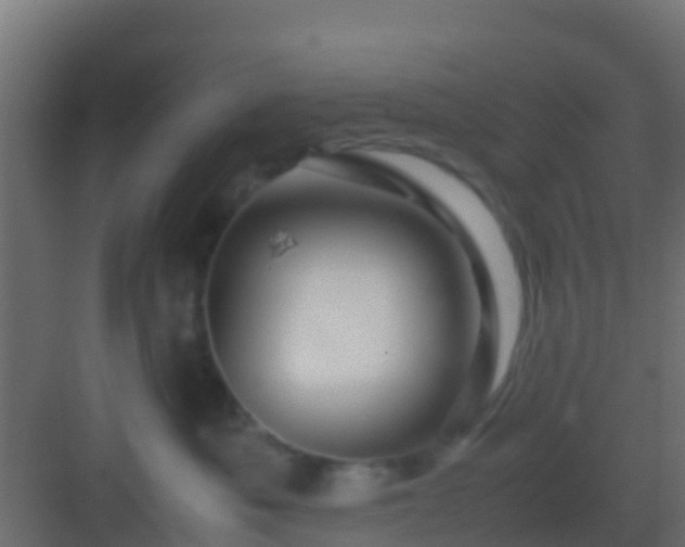 X0000082970525200702081745