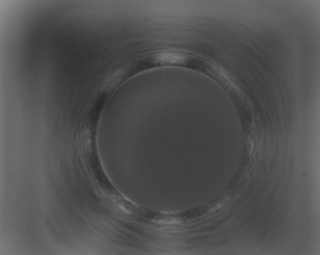 X0000082970551200702081744