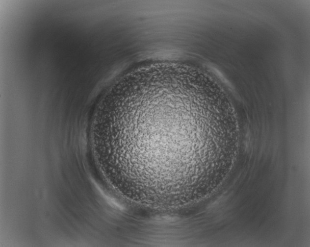 X0000082970586200702081744