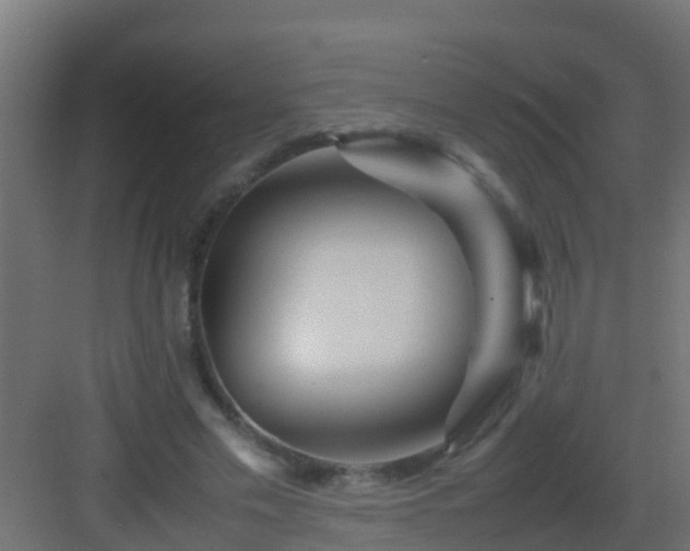 X0000082970589200702081744