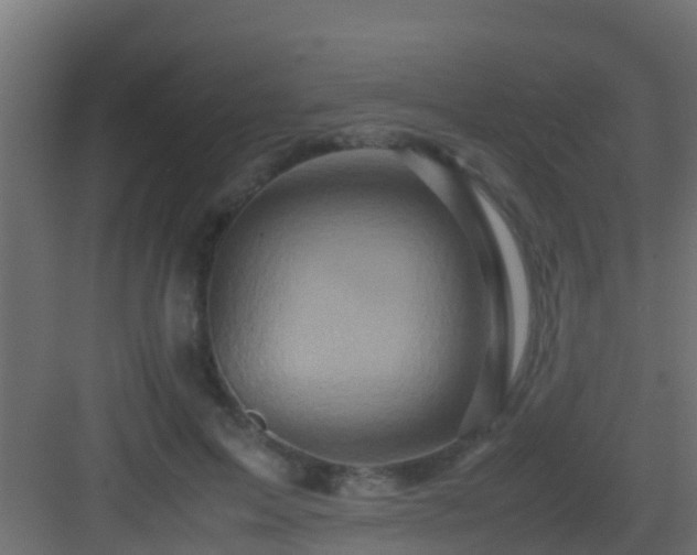 X0000082970599200702081744