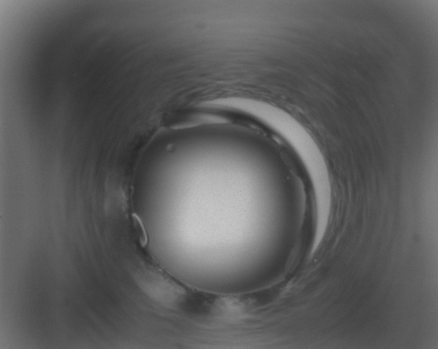 X0000082970613200702081743