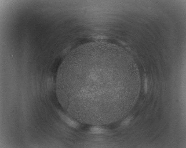 X0000082970614200702081743