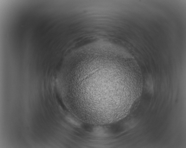 X0000082970616200702081743
