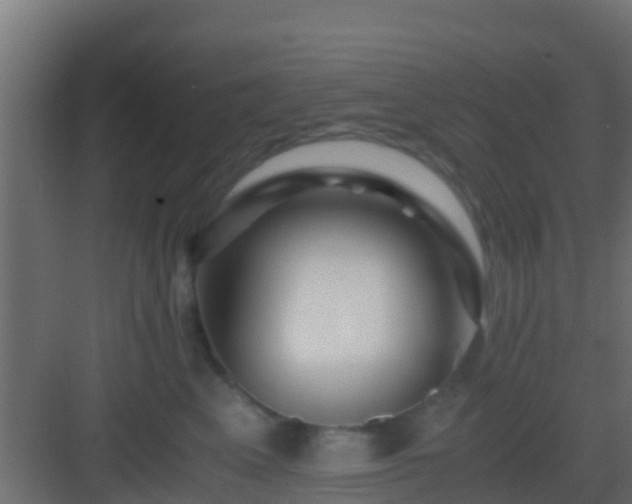 X0000082970617200702081743