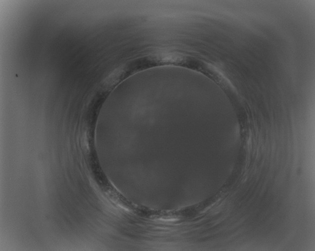 X0000082970643200702081743
