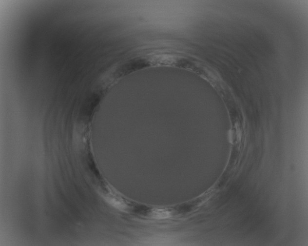 X0000082970701200702081742