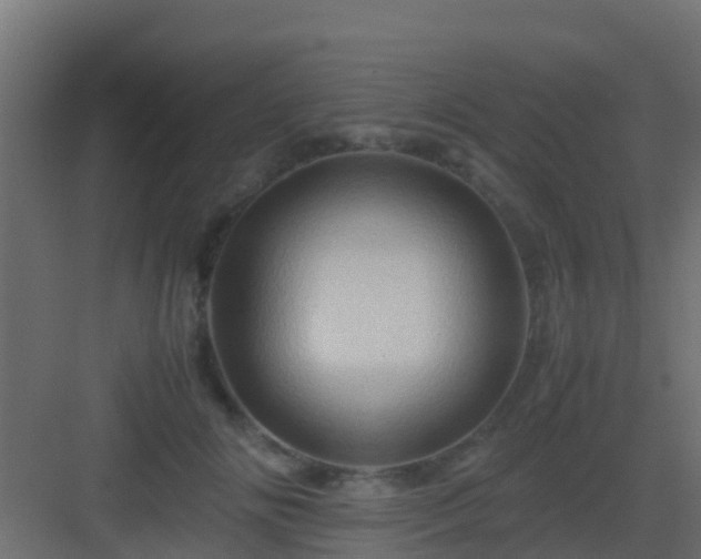 X0000082970702200702081742