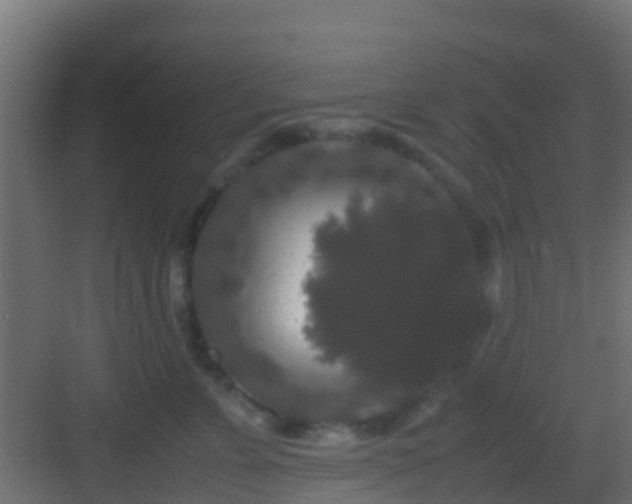 X0000082970715200702081742