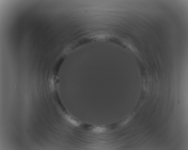 X0000082970718200702081742