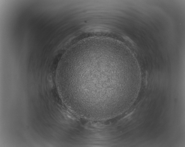 X0000082970774200702081741