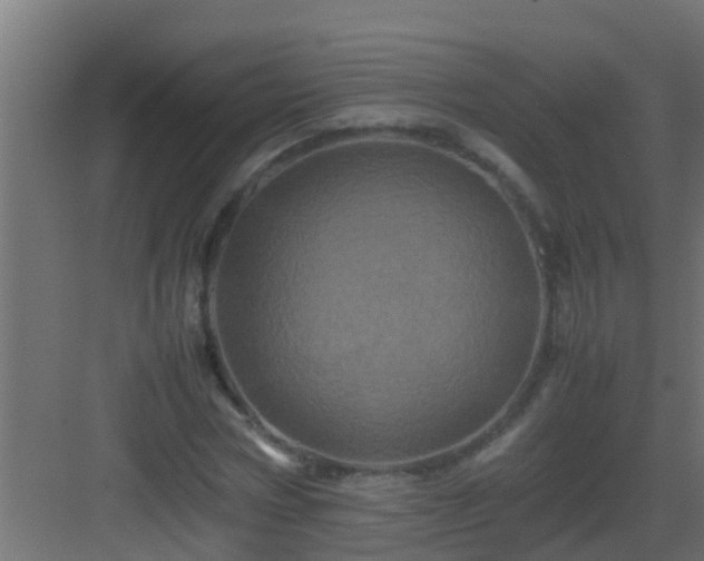 X0000082970778200702081741
