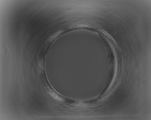 X0000082970785200702081741