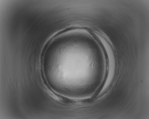 X0000082970787200702081740
