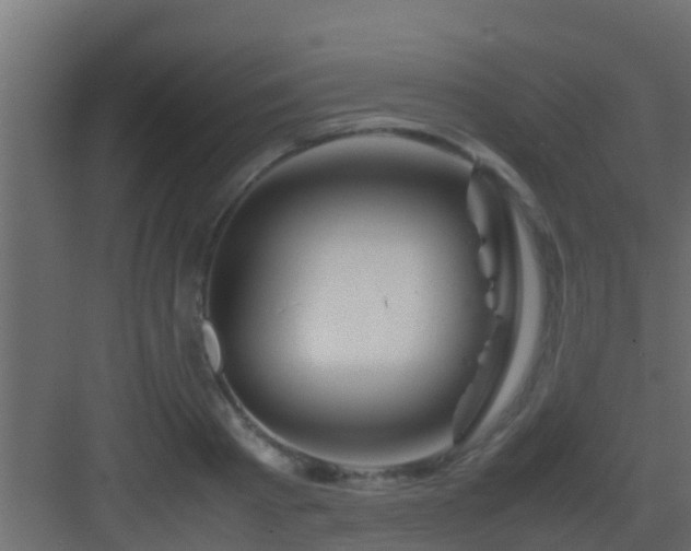X0000082970793200702081740