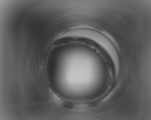 X0000082970801200702081740