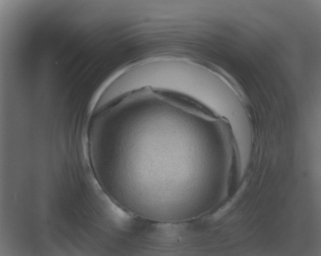 X0000082970812200702081740