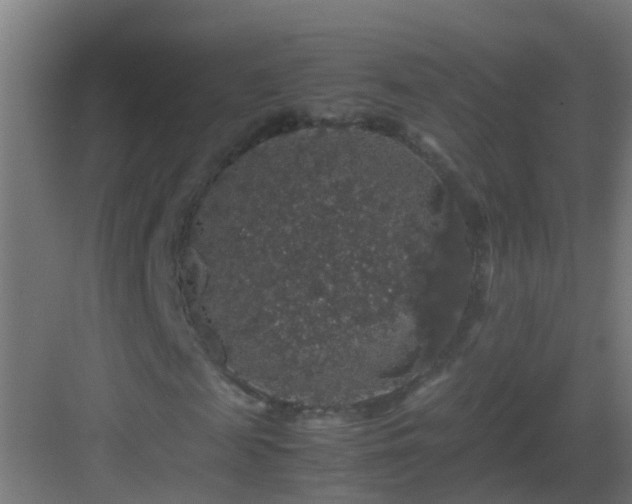 X0000082970817200702081739