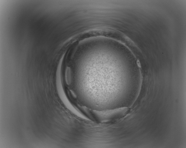 X0000082970822200702081739