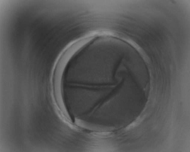 X0000082970864200702081740