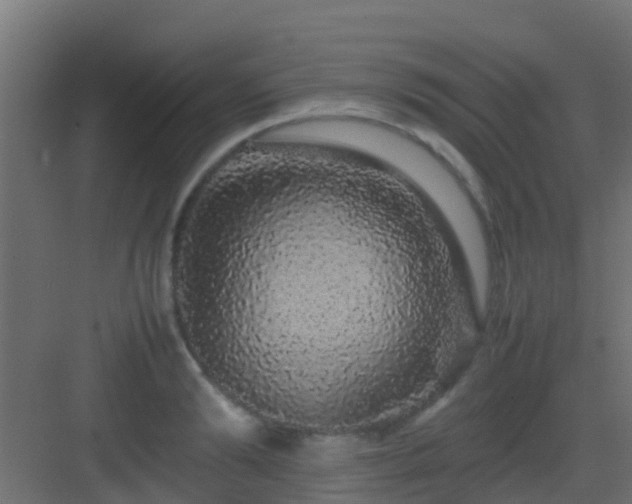 X0000082970894200702081739