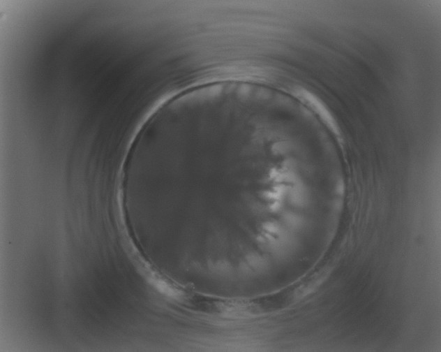 X0000082970899200702081739