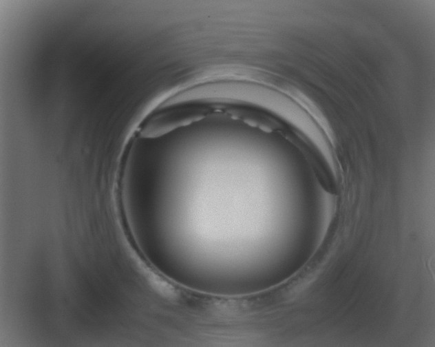 X0000082970901200702081739