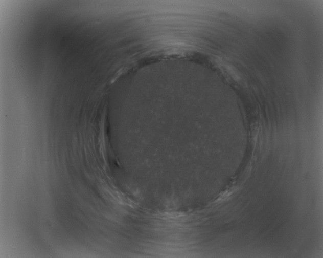 X0000082970916200702081738