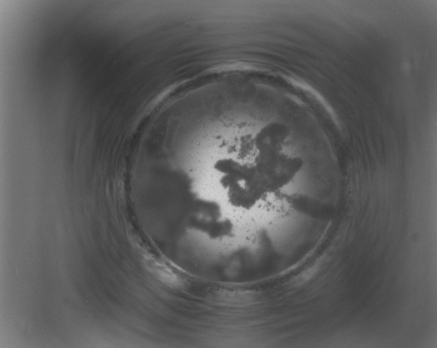 X0000082970921200702081738