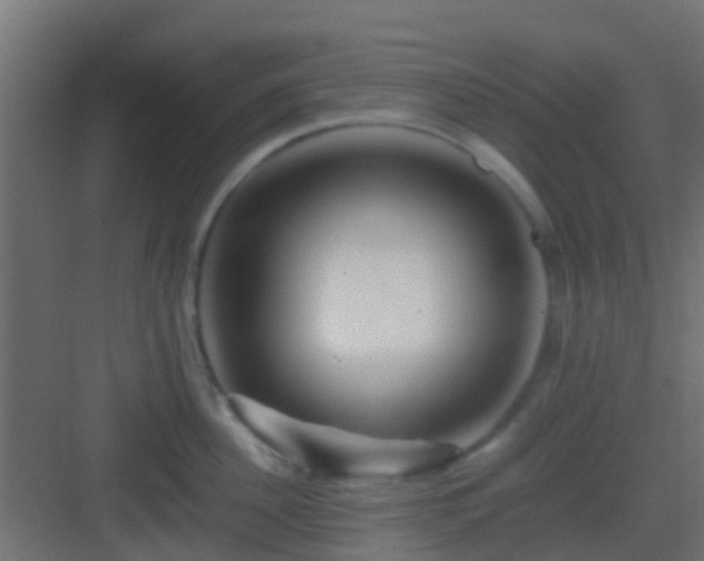 X0000082970956200702081738