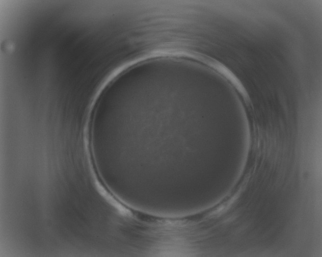 X0000082970958200702081738