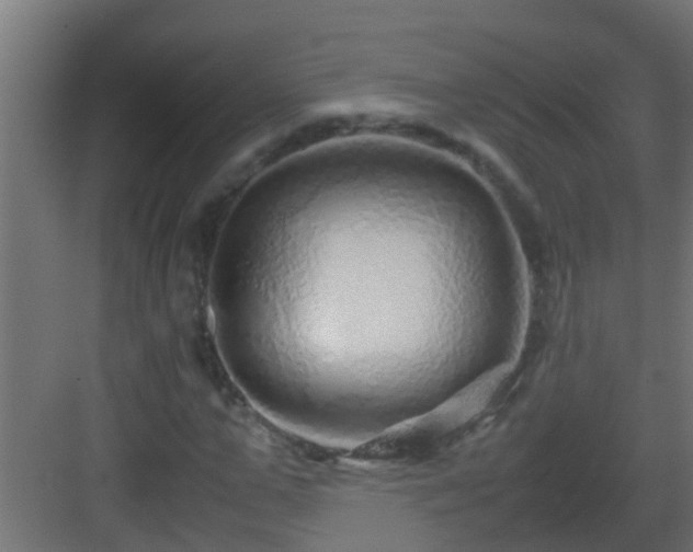 X0000082970967200702081737