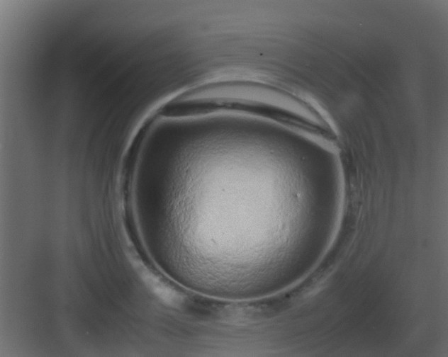 X0000082970987200702081737