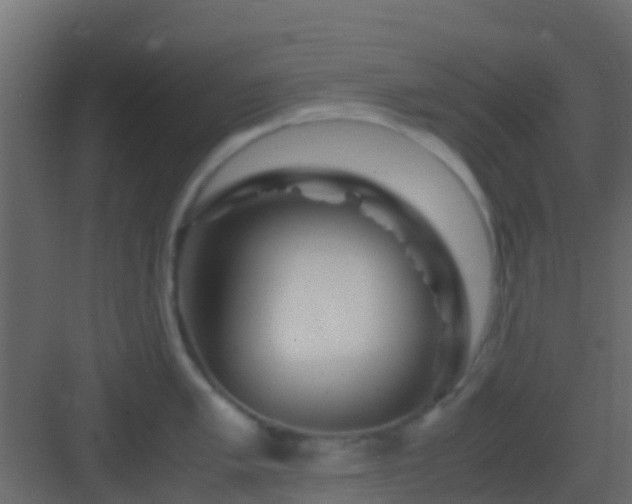 X0000082971005200702081737