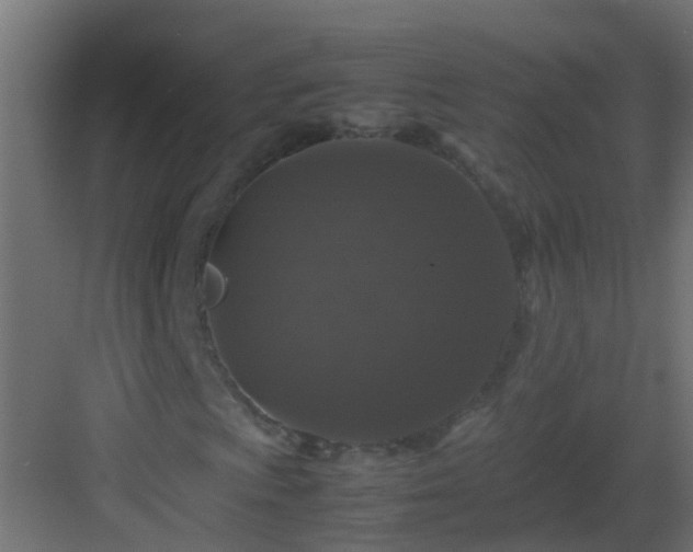 X0000082971009200702081736