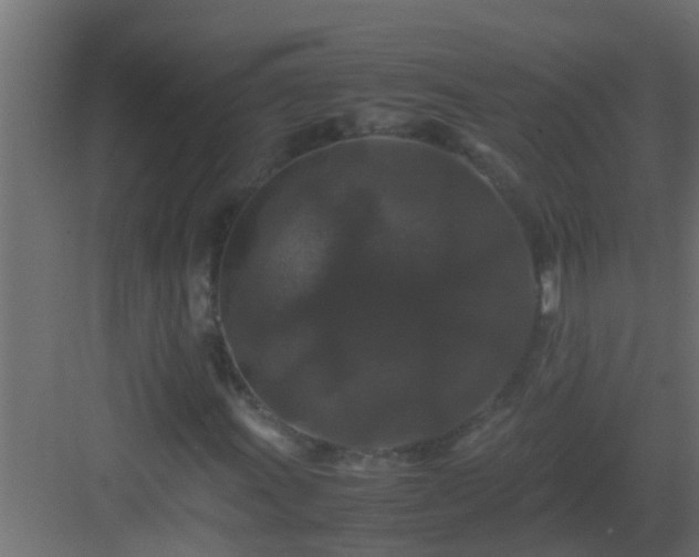 X0000082971011200702081736