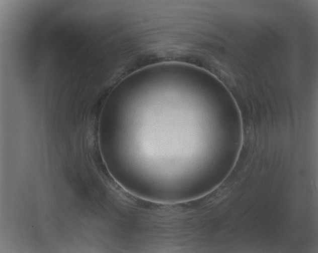 X0000082971012200702081736